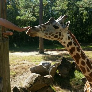 Meet your Posher, Caleb